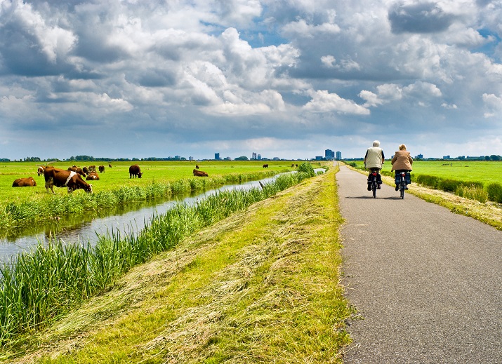 Waarom moet je je elektrische fiets verzekeren?