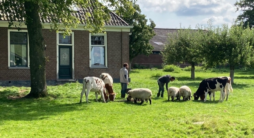 Zorgboerderij BeemsterBeleving