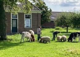 Zorgboerderij BeemsterBeleving