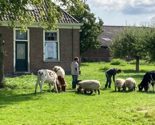 Zorgboerderij BeemsterBeleving