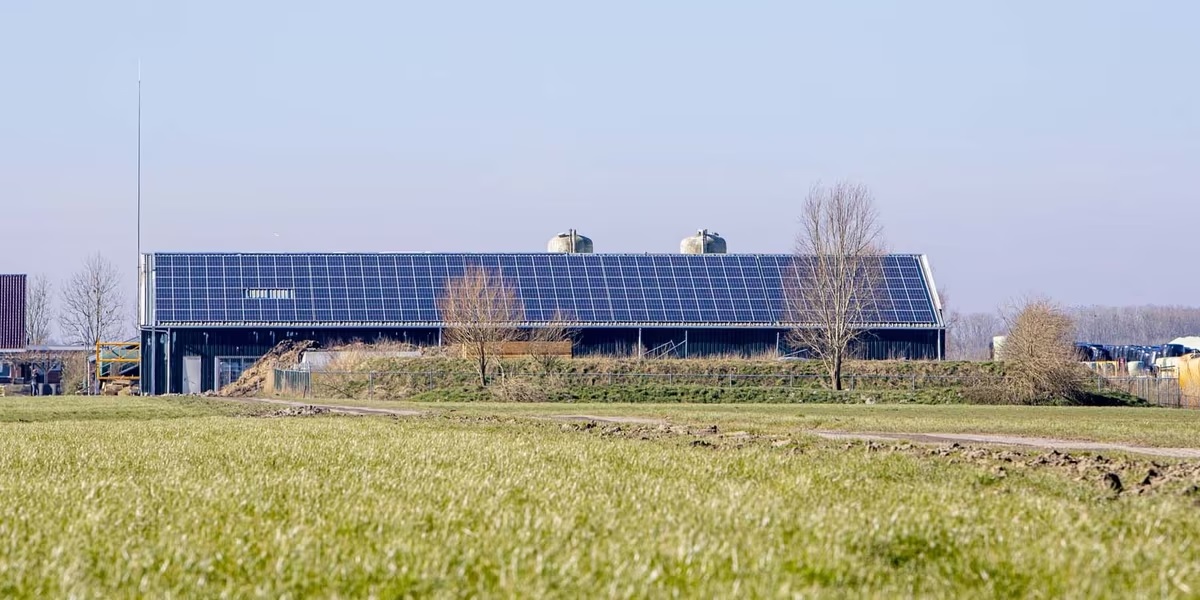 Hoe verzeker je schade door zonnepanelendeeltjes?
